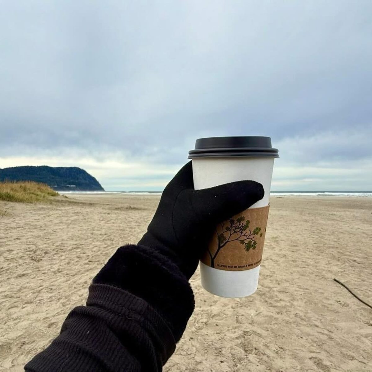 Fresh Coffee Just Steps From the Beach